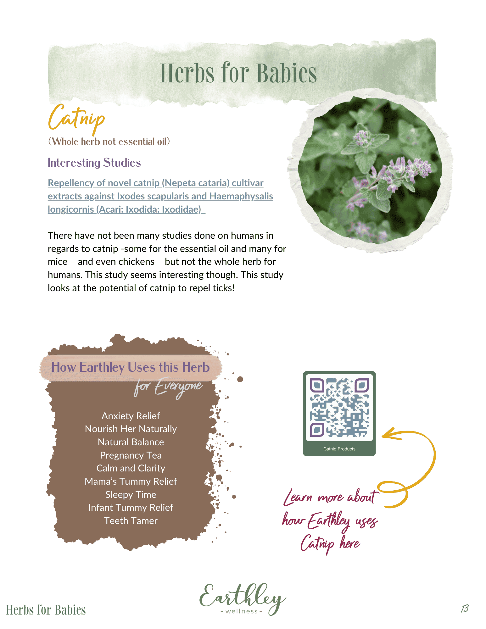 Herbs For Babies page 15.png