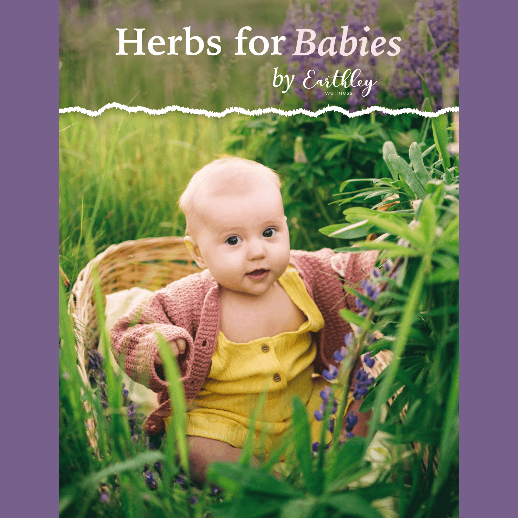 Herbs for Babies talks about ingredients in store bought baby diaper and teething products and the safe use of herbs to help your support your baby's needs