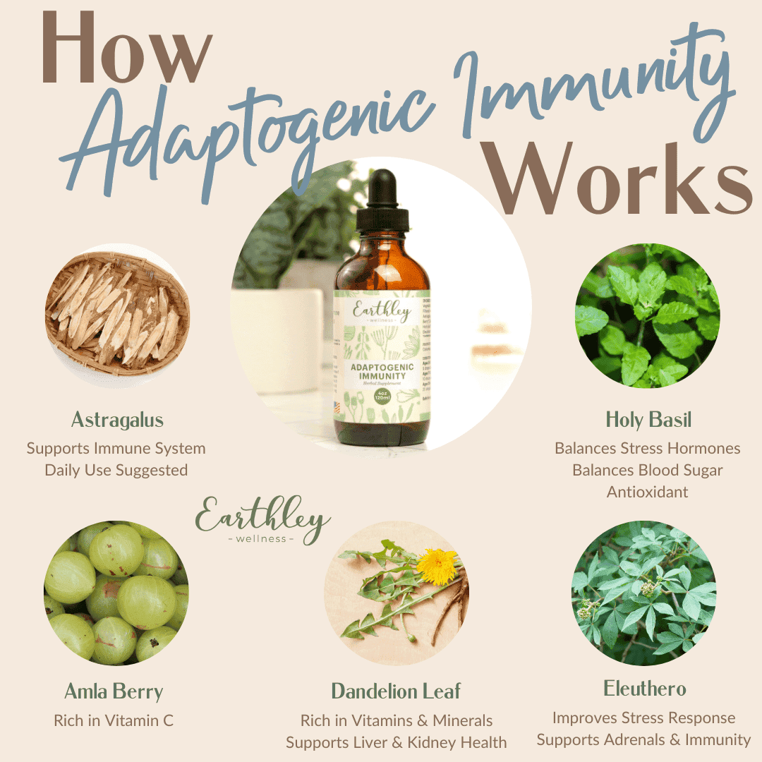 adaptogenic immunity-839218