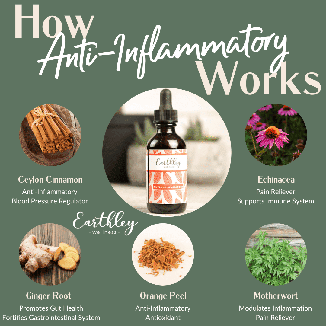 anti inflammatory-herbal-extract-51892