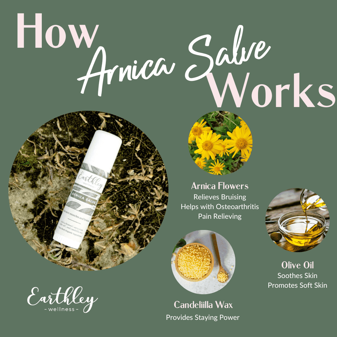 arnica salve-stick-3206