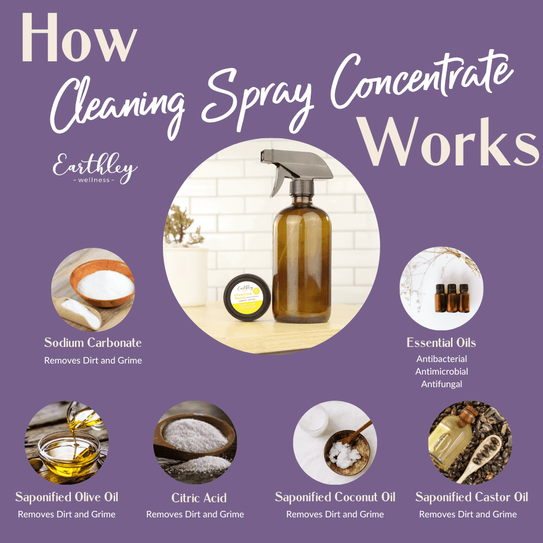 cleaning spray-concentrate-247040