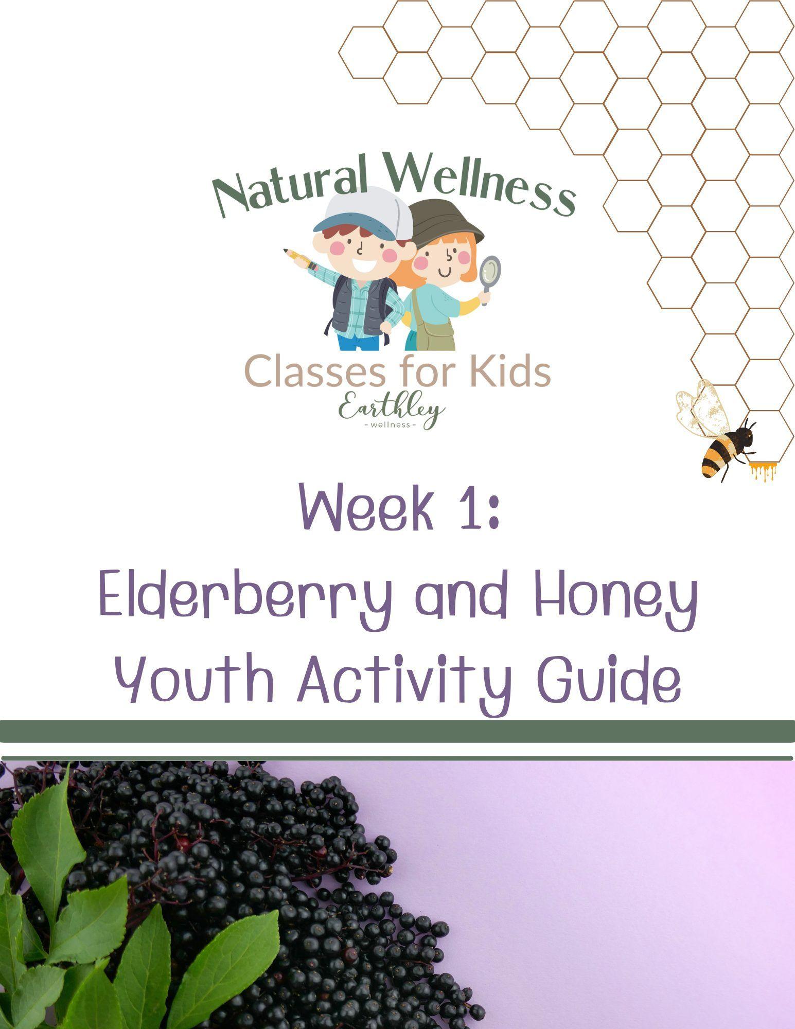 elderberry and-honey-mini-activity-guide-for-youth-908627