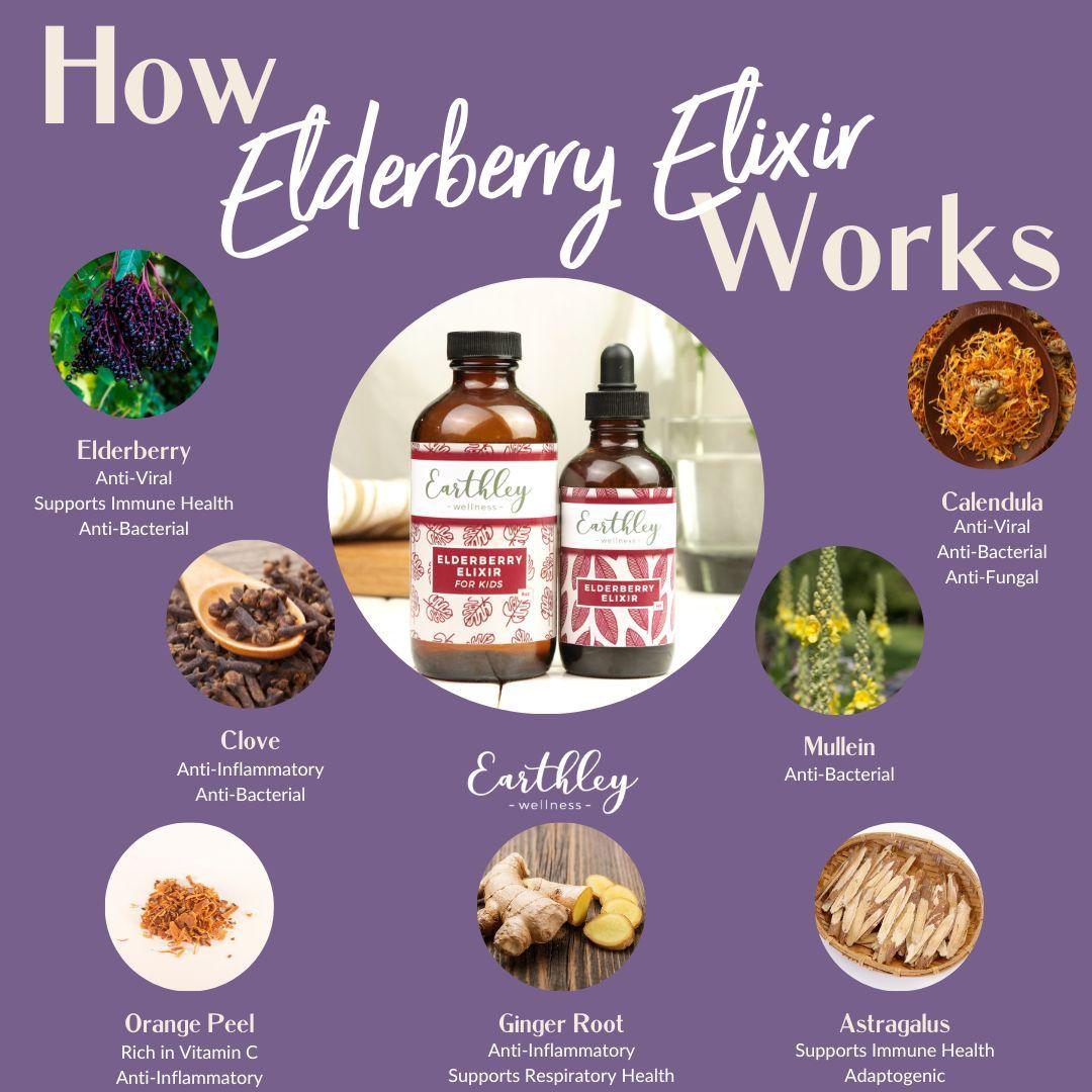 elderberry elixir-herbal-extract-10410