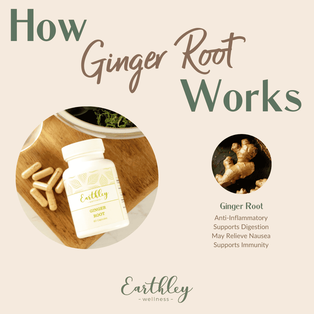 ginger root-capsules-317193