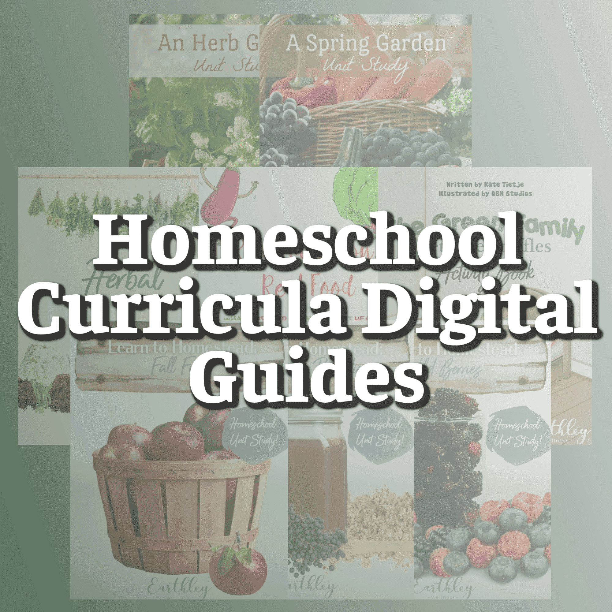 homeschool curricula-digital-guides-592559