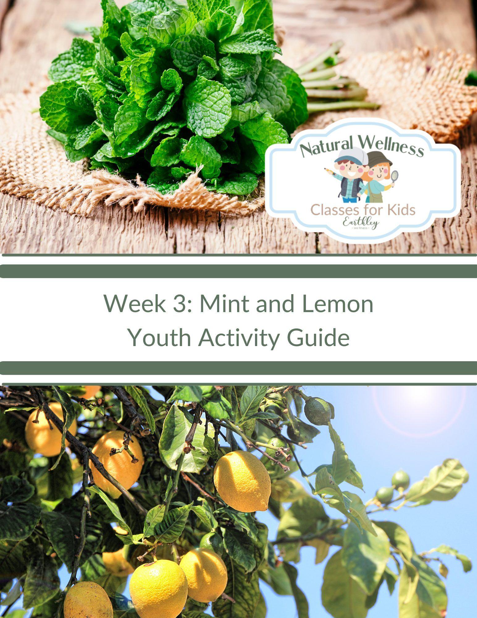 mint lemon-activity-guide-for-youth-917701