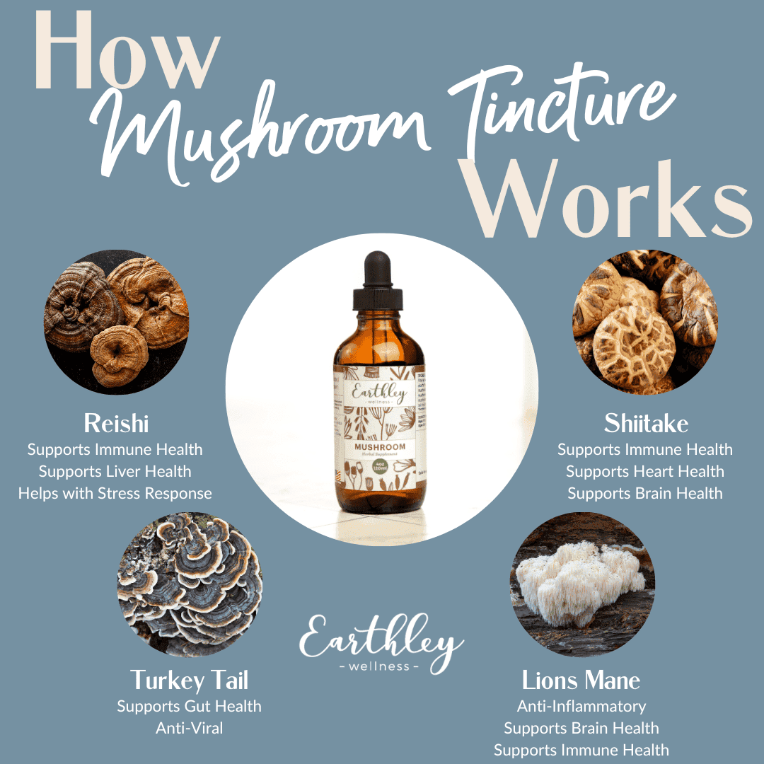 mushroom tincture-873010