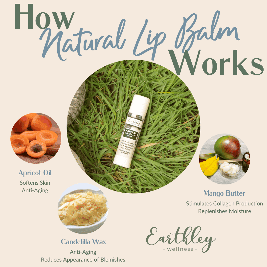 natural lip-balm-3886