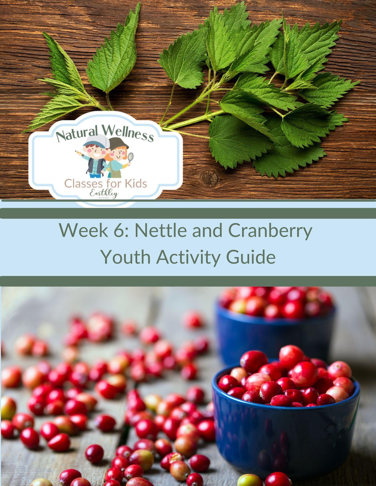 nettle cranberry-activity-guide-youth-943560