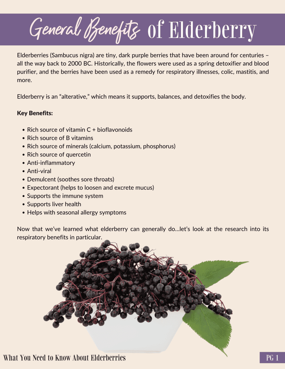 what you-need-to-know-about-elderberries-162722