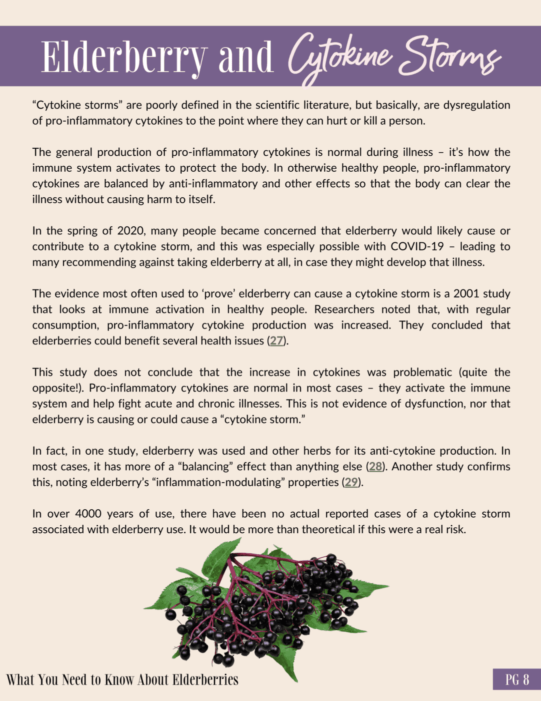 what you-need-to-know-about-elderberries-162722