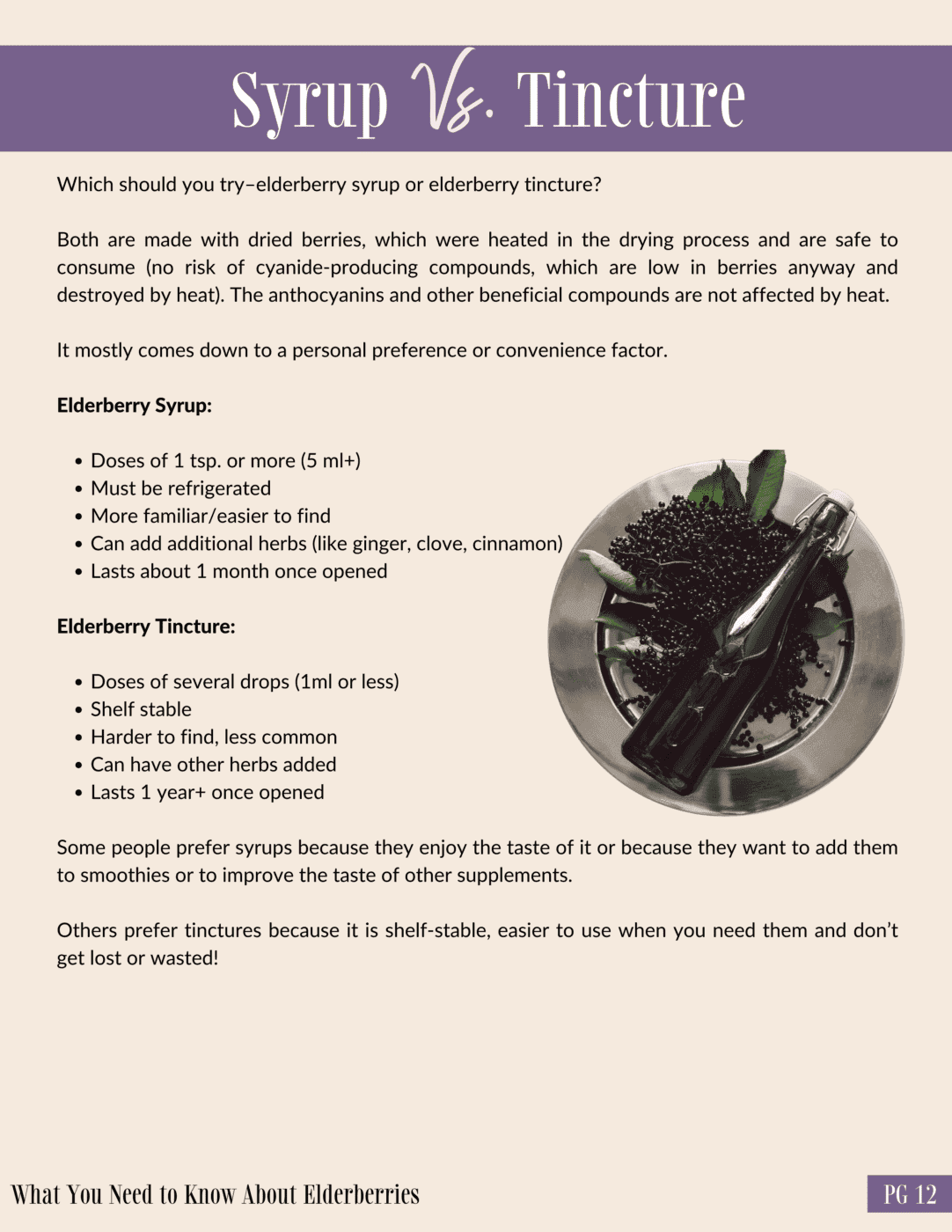 what you-need-to-know-about-elderberries-162722