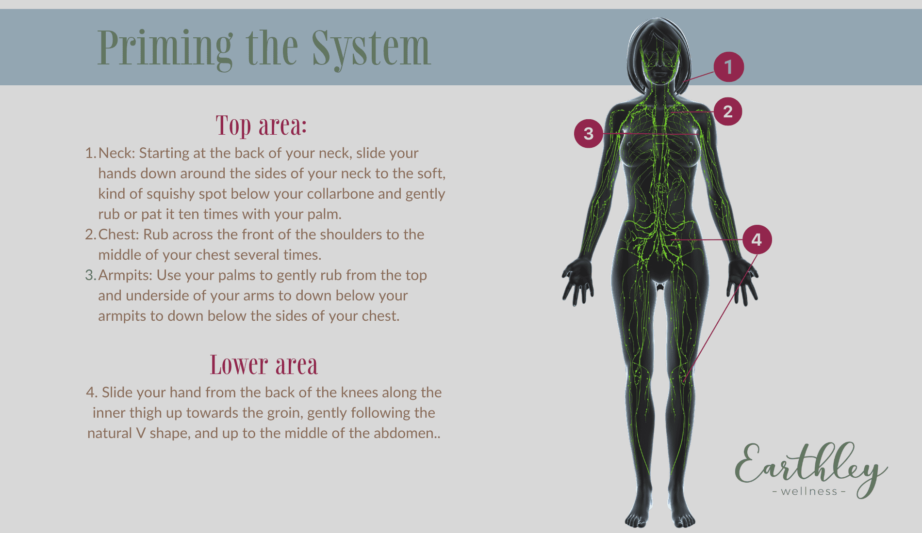 Earthley promotional graphic numbered step 1 showing first action in wellness routine or process