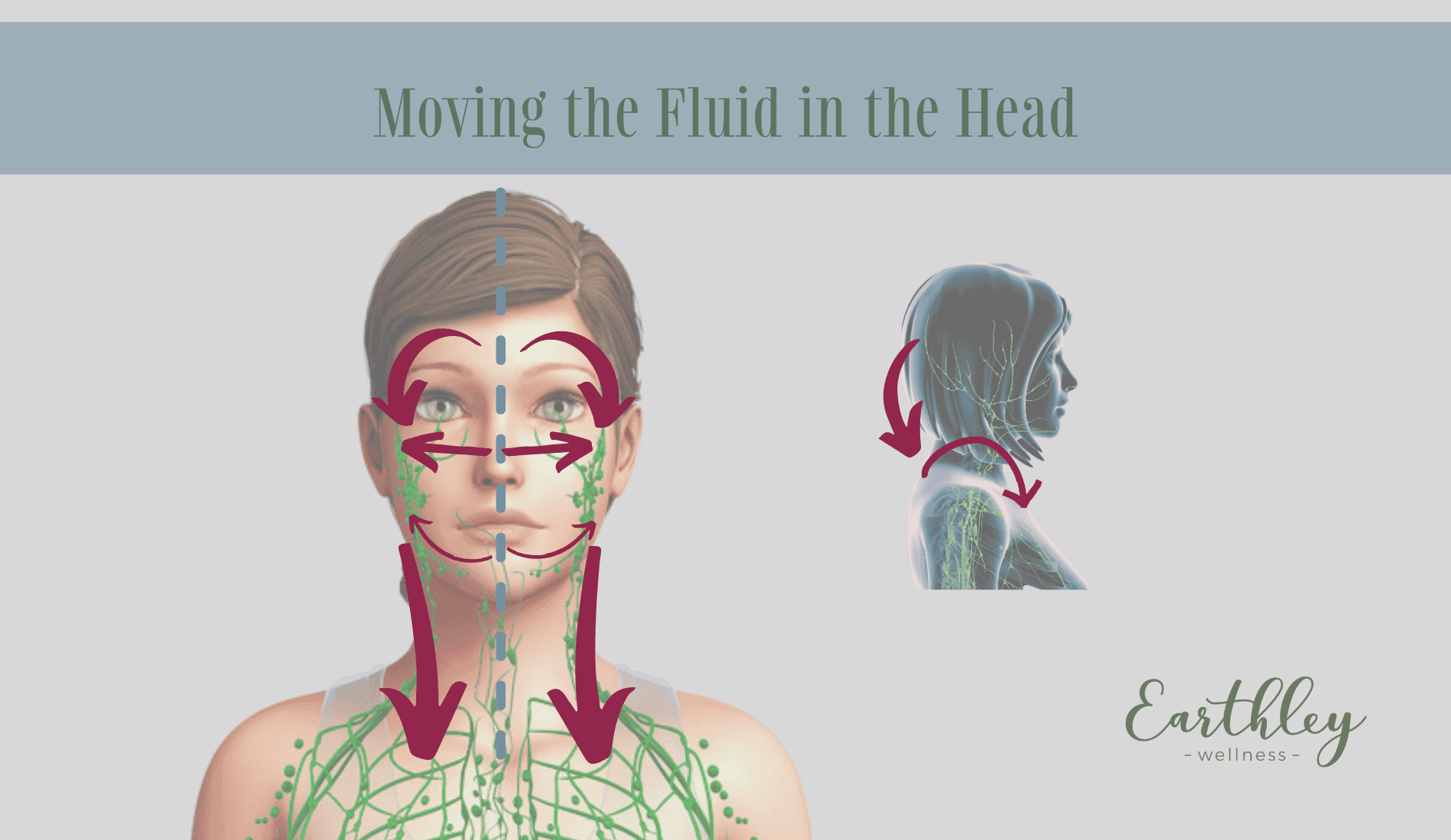Moving the Fluid in the Head lymphatic massage instruction diagram showing face and neck with directional arrows for facial drainage technique