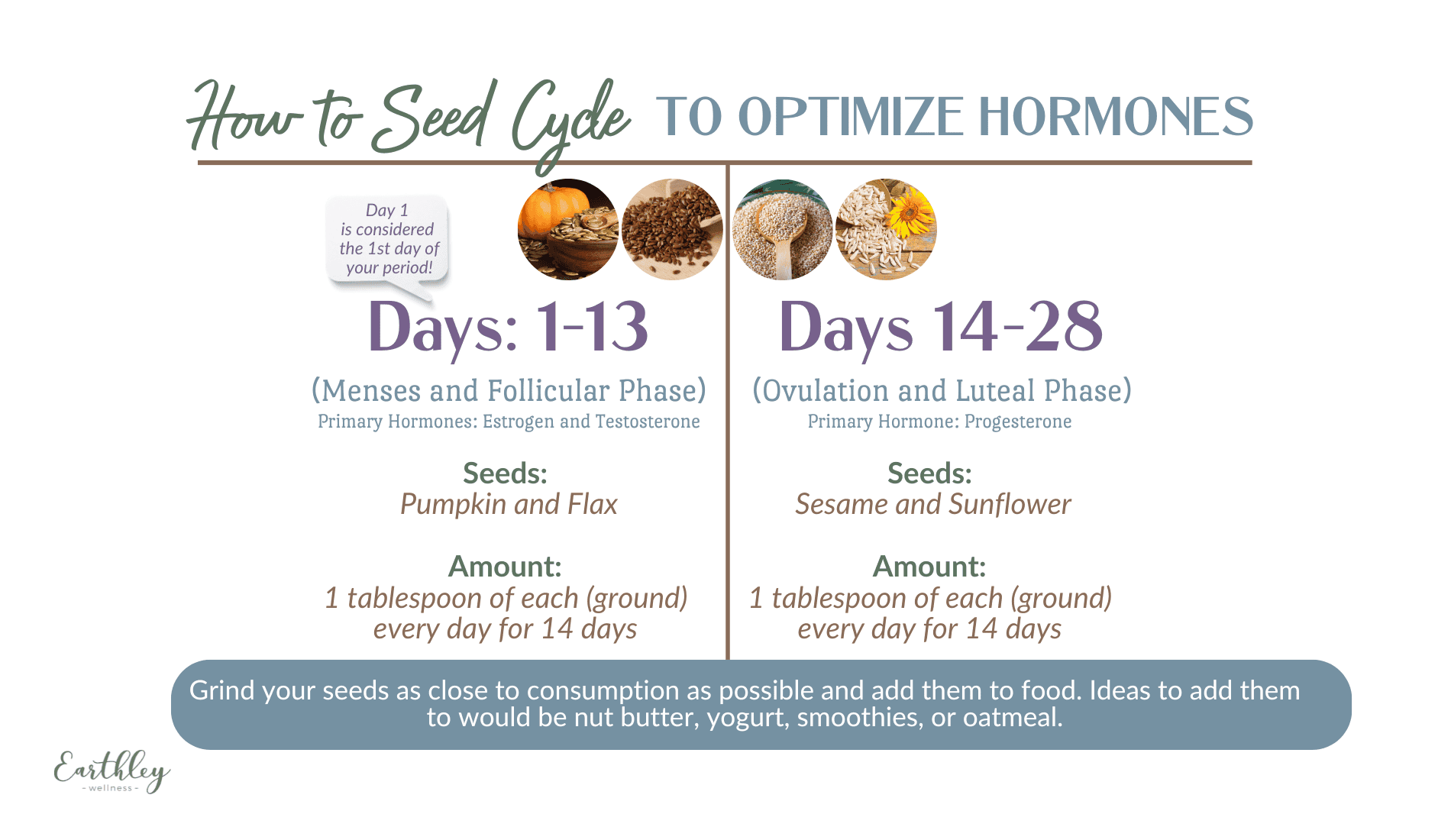 11323 Seed Cycling (1900 x 1100 px) herbal ingredient displayed for reference