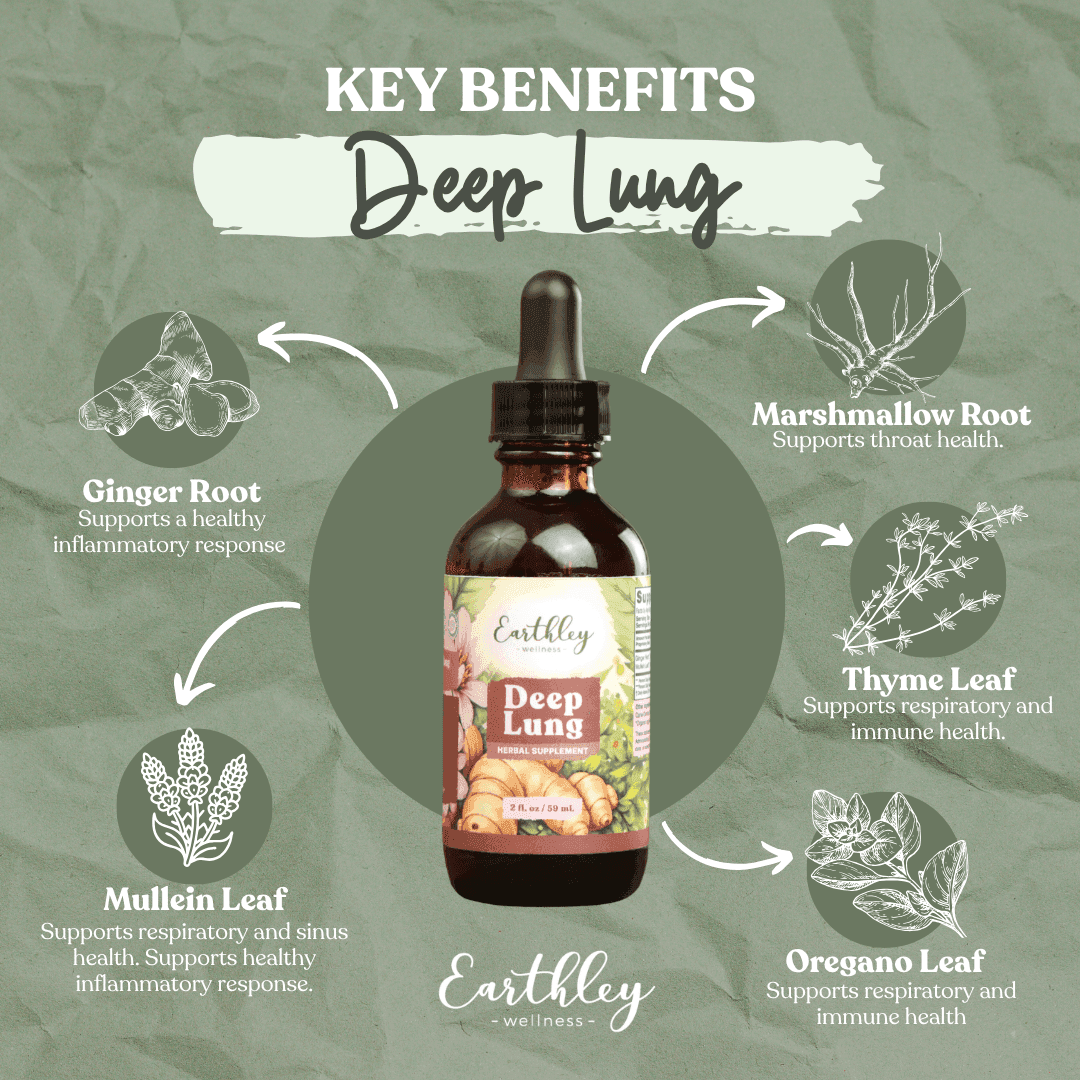 Earthley Deep Lung herbal tincture with key ingredients: ginger, marshmallow root, thyme, oregano, mullein