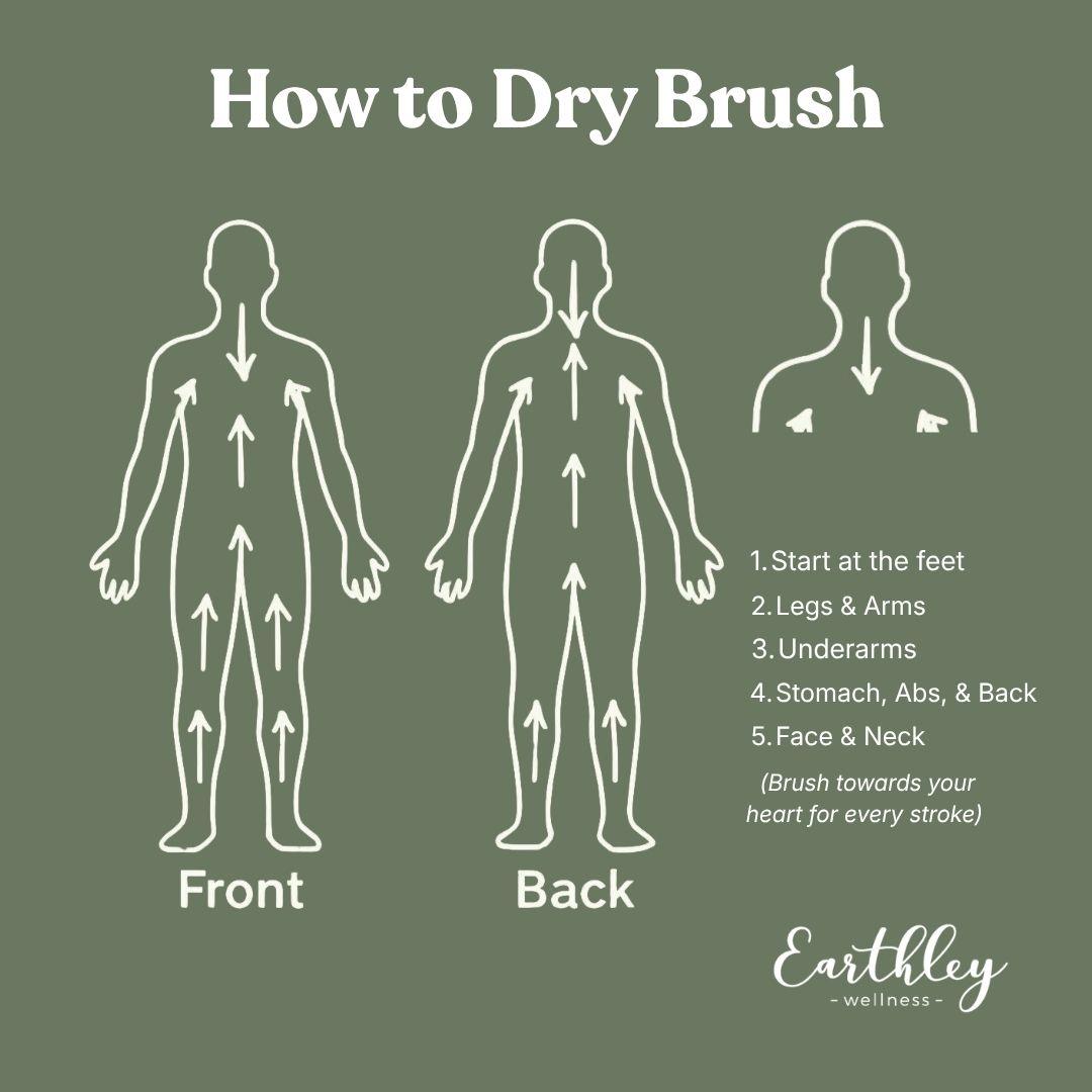 2 Dry Brush Updated 2026.jpg
