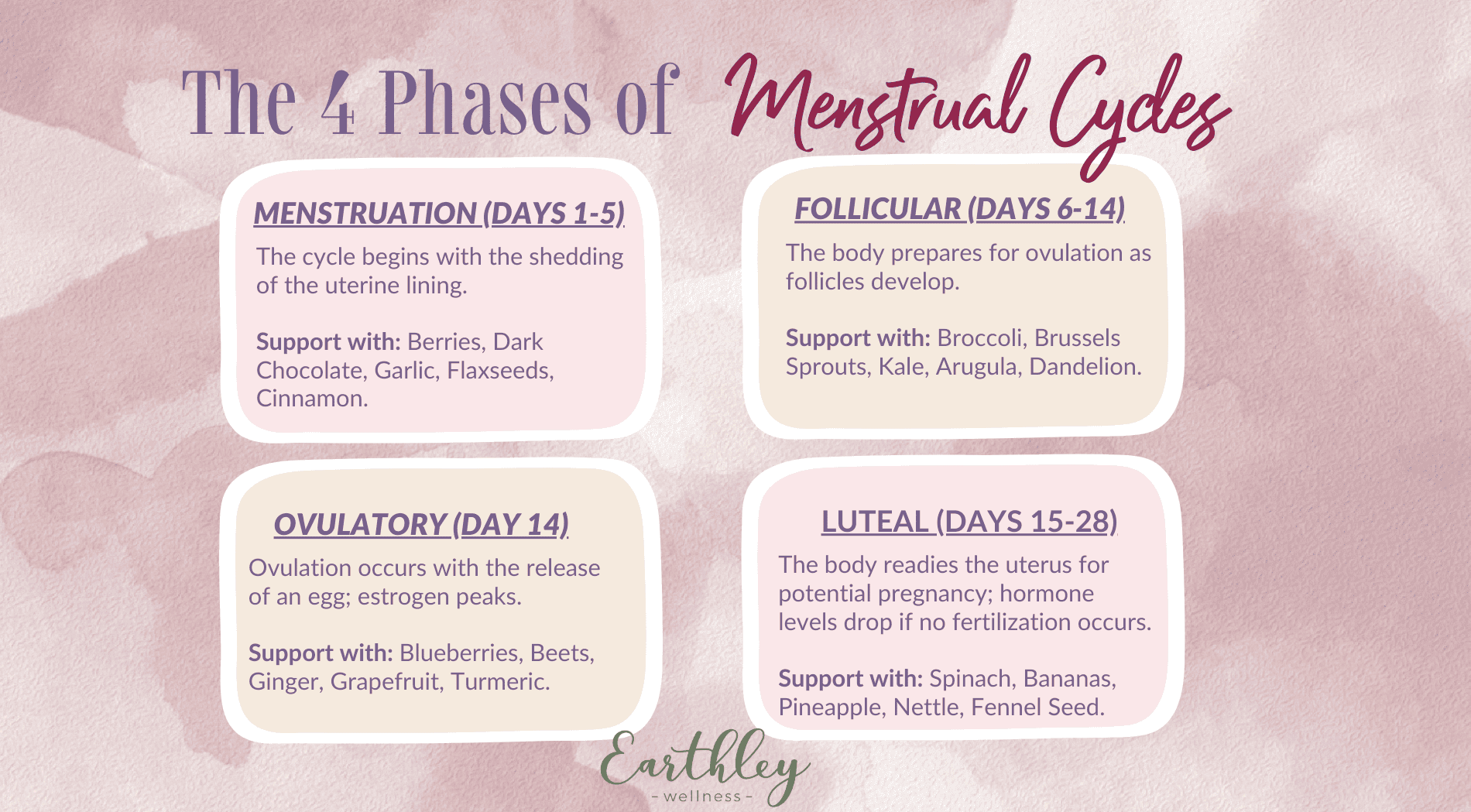 The 4 Phases of Menstrual Cycles infographic showing Menstruation Days 1-5, Follicular Days 6-14, Ovulatory Day 14, and Luteal Days 15-28 with supporting herbs and symptoms for each phase