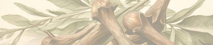 Dried cinnamon sticks and sage leaves arranged on neutral background for natural wellness products