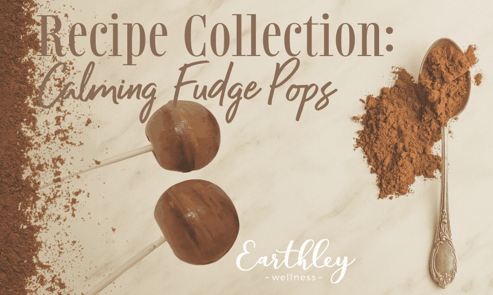 Recipe Collection Calming Fudge Pops header graphic with beige background showing two brown chocolate fudge popsicles on sticks with cocoa powder and wooden spoon