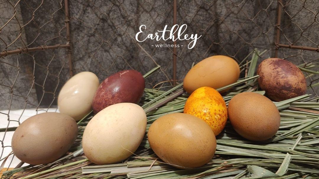 Colorful farm-fresh eggs in wire basket with dried grass, featuring Earthley Wellness logo overlay