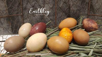 Colorful farm-fresh eggs in various shades of brown, white, and speckled shells arranged on dried grass with Earthley logo