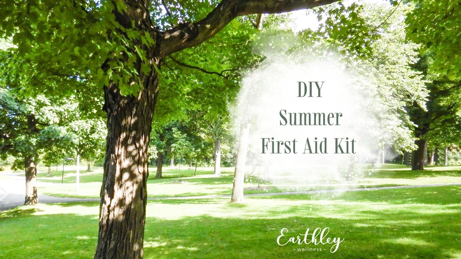 Earthley DIY Summer First Aid Kit banner with bright green park scene showing trees and grass with dark green text overlay