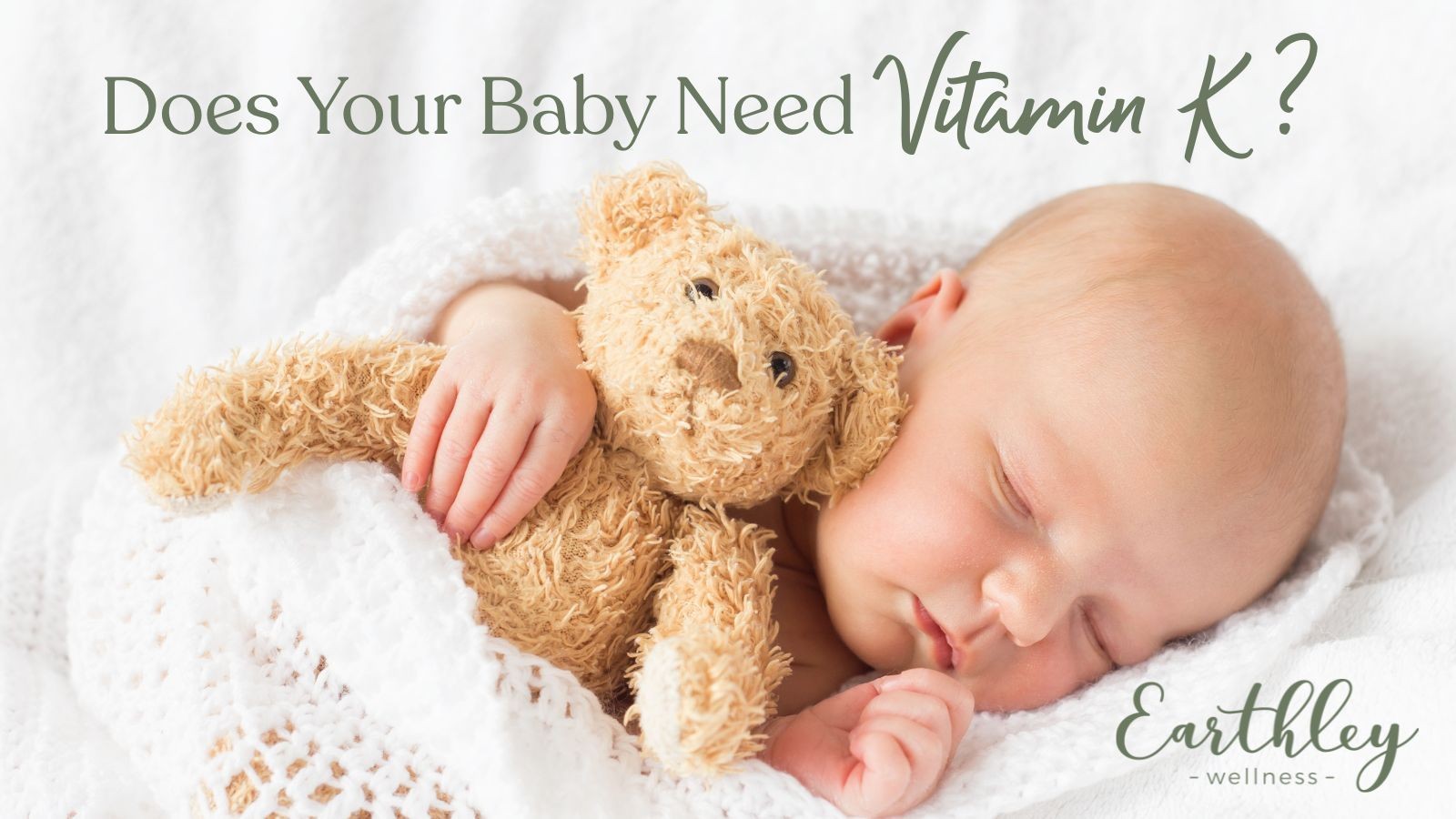 Earthley Blog Graphics promotional banner with product photos on sage green watercolor background at 1900 by 1100 pixels