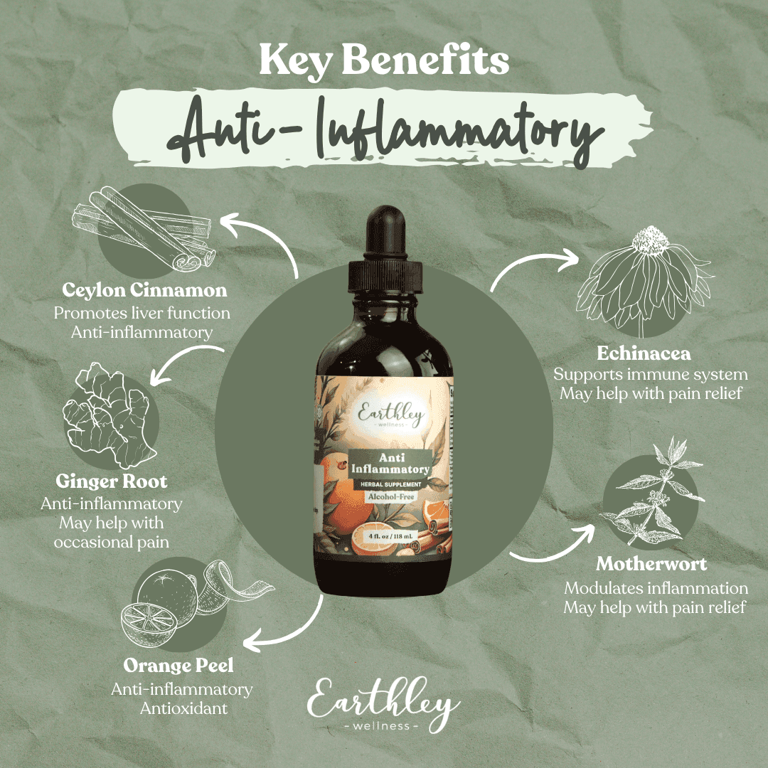 Earthley Anti-Inflammatory tincture with key ingredients: cinnamon, ginger, echinacea, motherwort, orange peel.