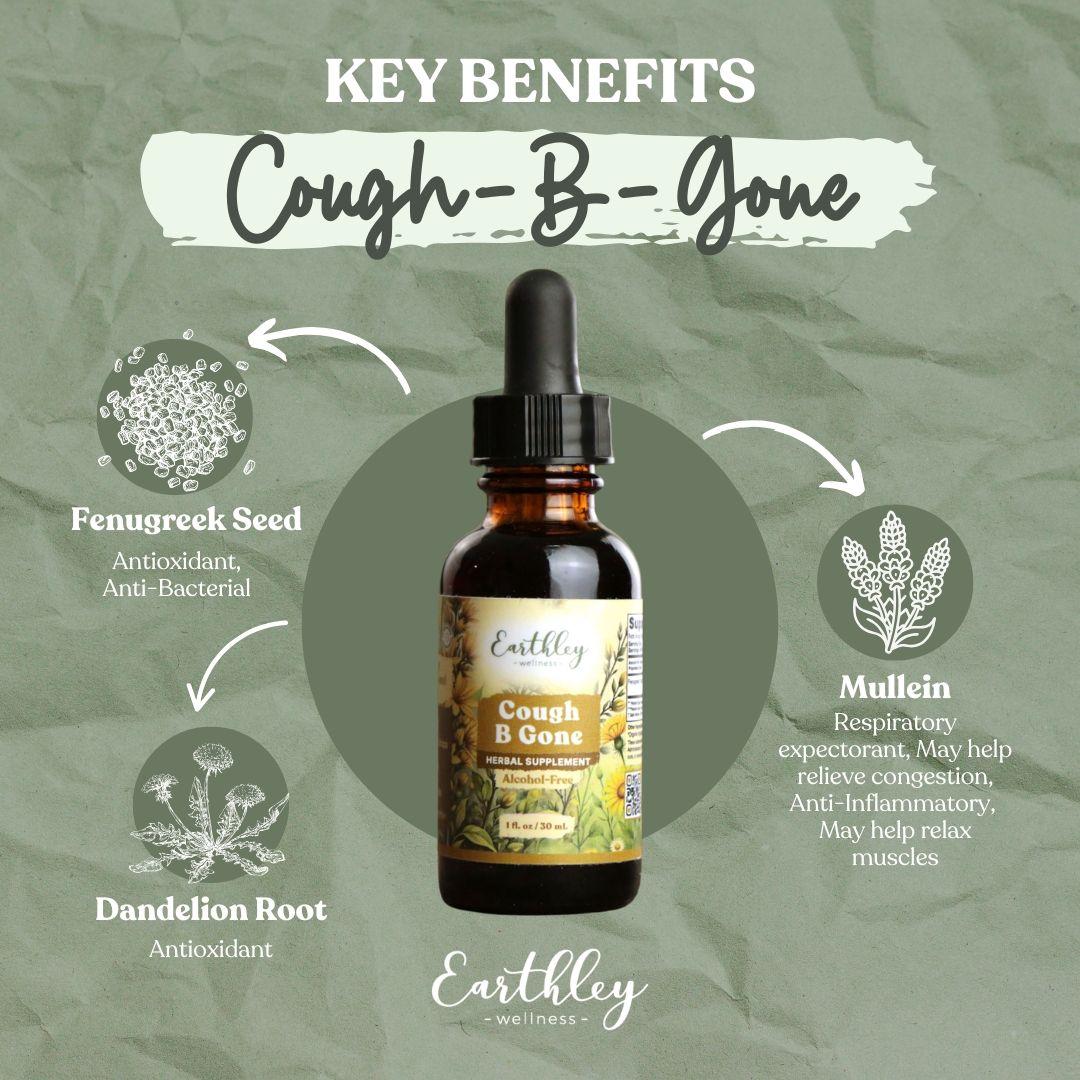 Cough-B-Gone herbal tincture bottle with key benefits infographic showing fenugreek seed, mullein, and dandelion root ingredients