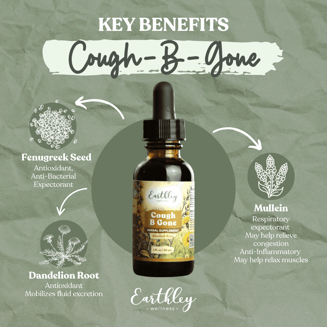 Earthley Cough-B-Gone tincture with key benefits: fenugreek, mullein, dandelion root