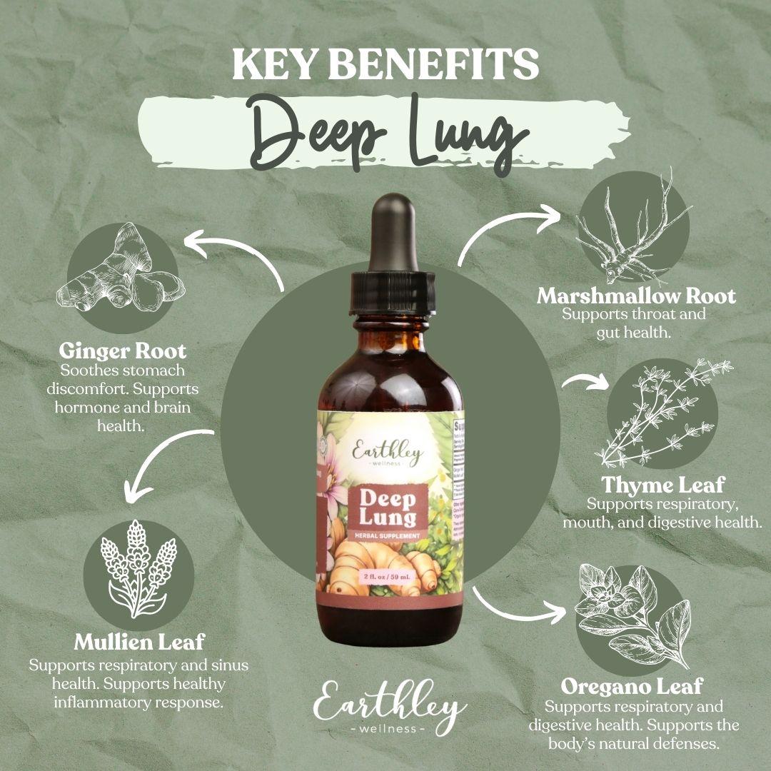 Infographic showing Key Benefits of Deep Lung tincture with central amber dropper bottle surrounded by ingredient circles: ginger root for stomach and hormone support, marshmallow root for throat and gut health, mullein leaf for respiratory and sinus support, thyme leaf for respiratory and digestive health, and oregano leaf for immune defenses