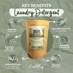 Earthley natural laundry detergent package surrounded by ingredient icons showing key benefits like bromelain, saponified oils, and citric acid
