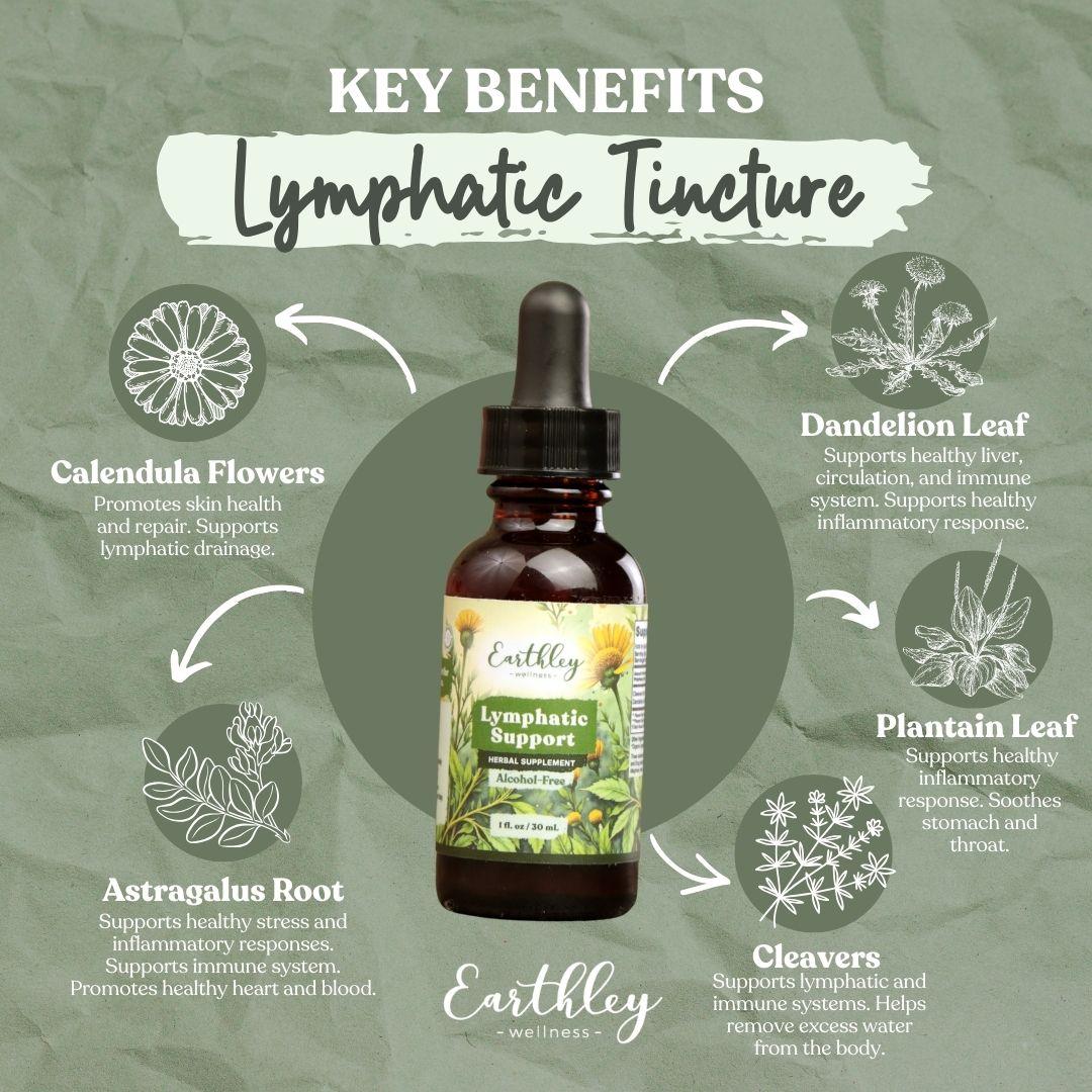 Infographic showing Key Benefits of Lymphatic Tincture with central amber dropper bottle surrounded by ingredient circles: calendula flowers for skin health and lymphatic drainage, dandelion leaf for liver and circulation support, astragalus root for immune and heart health, plantain leaf for inflammation and throat soothing, and cleavers for lymphatic and immune support