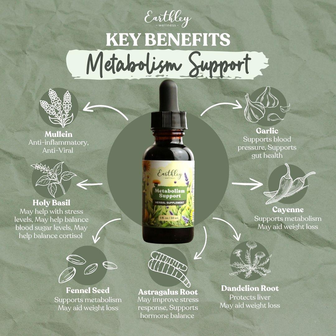 Earthley Metabolism Support tincture bottle surrounded by ingredient illustrations showing key benefits of mullein, garlic, holy basil, cayenne, fe...