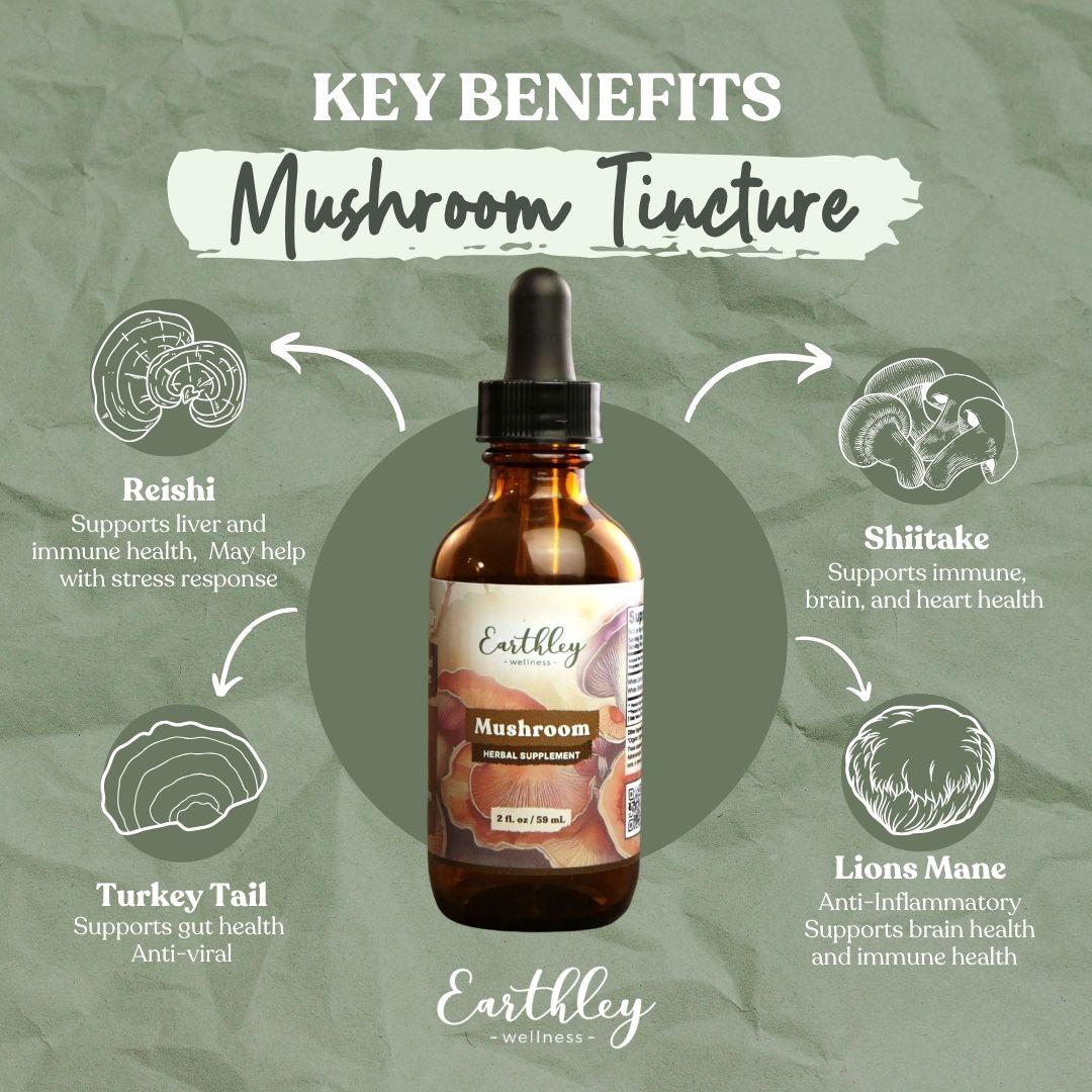 Earthley Mushroom Tincture benefits infographic showing amber dropper bottle surrounded by four mushroom types and their health benefits