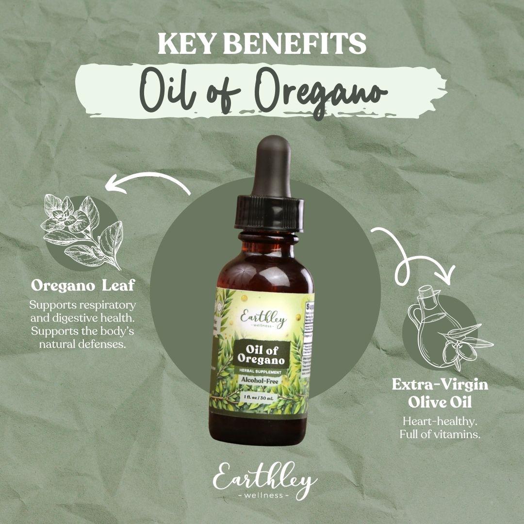 Infographic showing Key Benefits of Oil of Oregano with central amber dropper bottle surrounded by ingredient circles: oregano leaf for respiratory, digestive, and immune support, and extra-virgin olive oil for heart health and vitamins