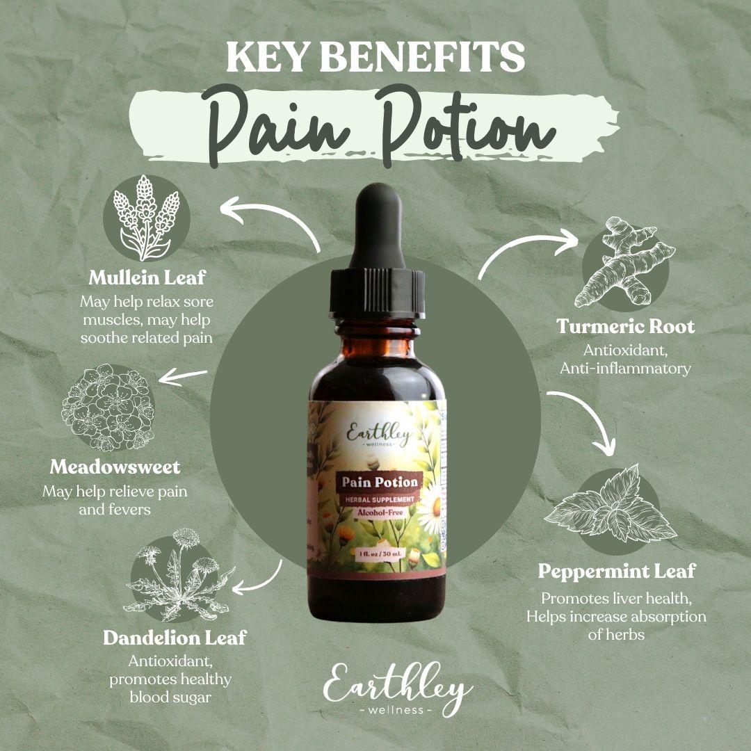 Pain Potion herbal tincture bottle surrounded by key ingredient benefits: mullein, turmeric, meadowsweet, dandelion, peppermint