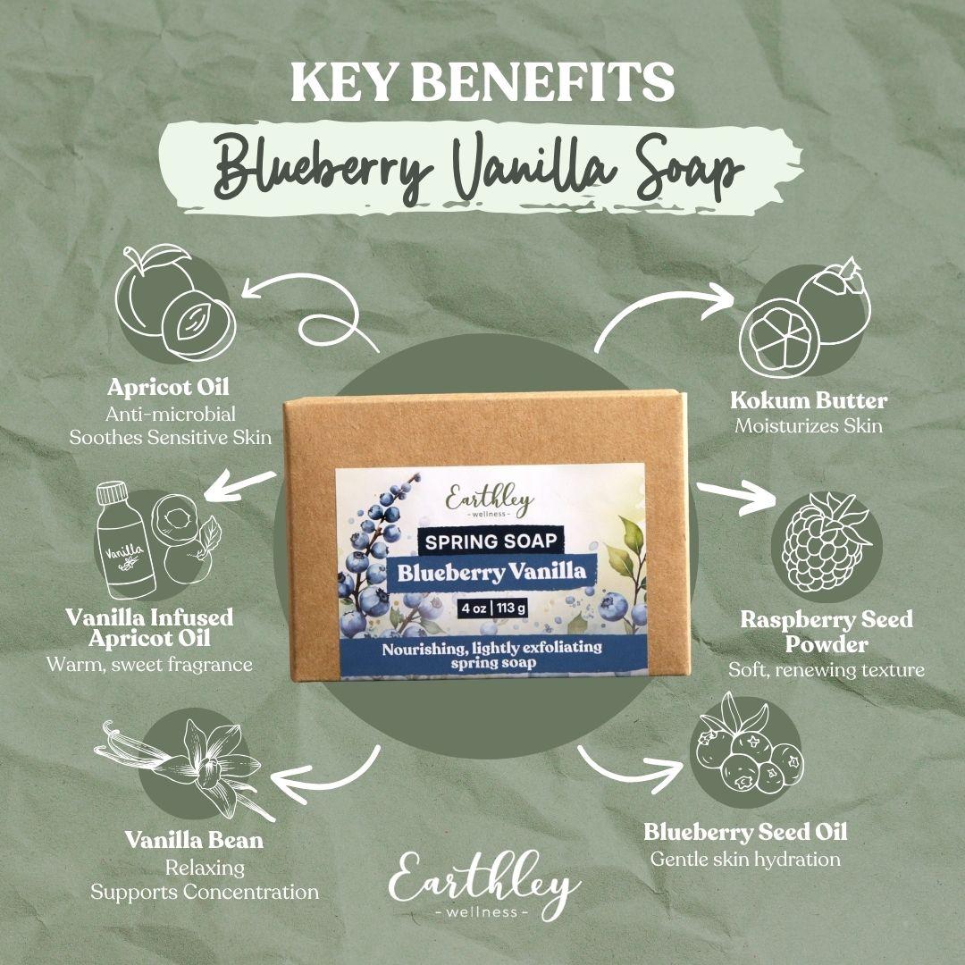 Blueberry Vanilla Soap benefits infographic showing key ingredients like apricot oil, kokum butter, and raspberry seed powder