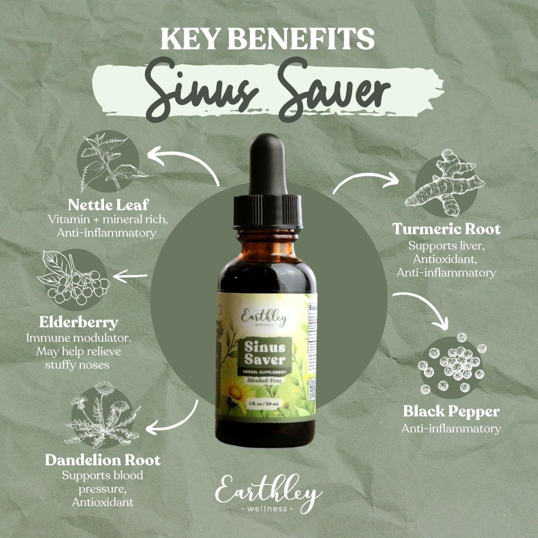 Sinus Saver herbal tincture bottle surrounded by ingredient illustrations showing nettle leaf, elderberry, dandelion root, turmeric root, and black...