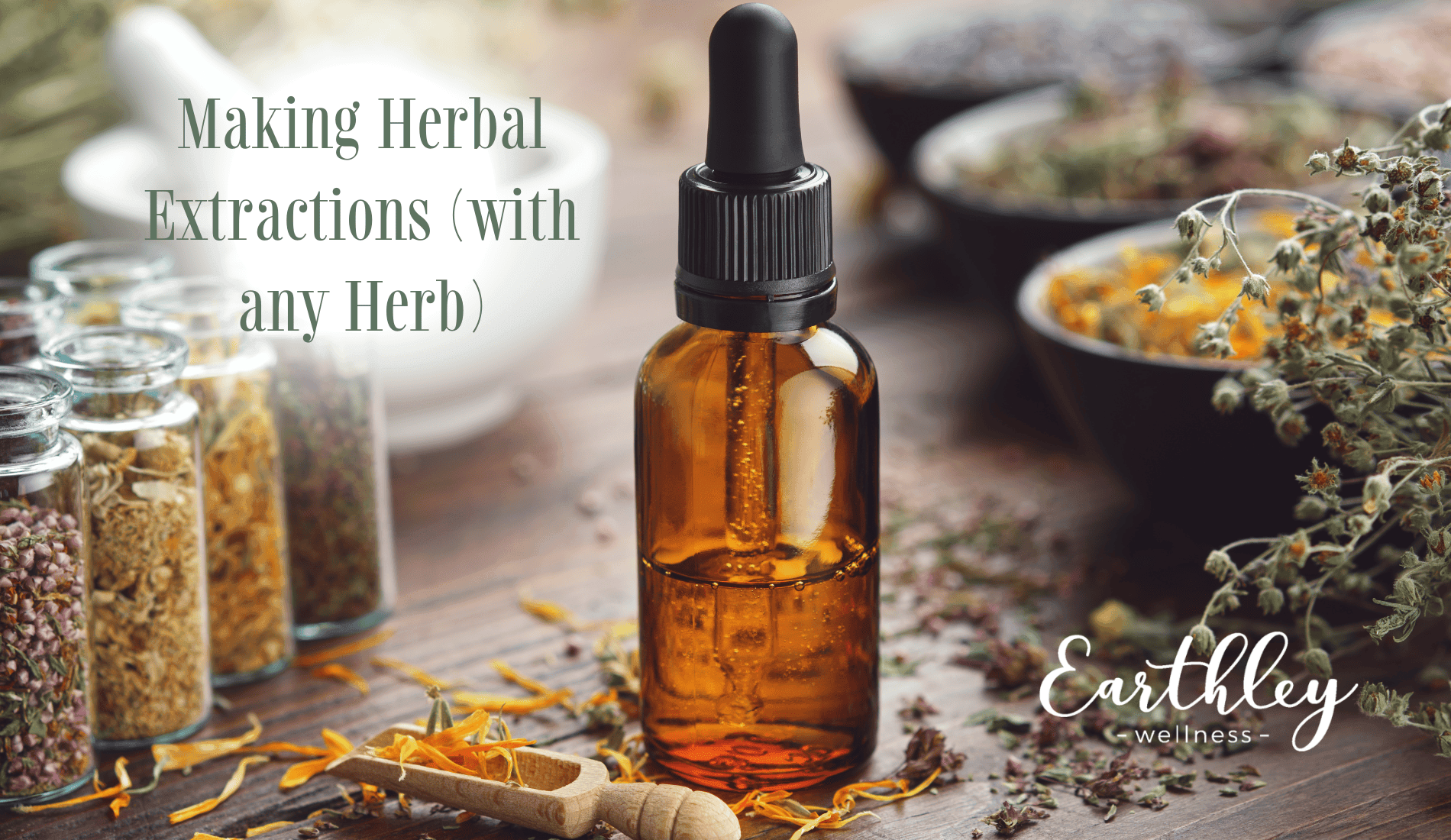 Making Herbal Extractions class header showing amber glass jars with green herbs on wooden surface