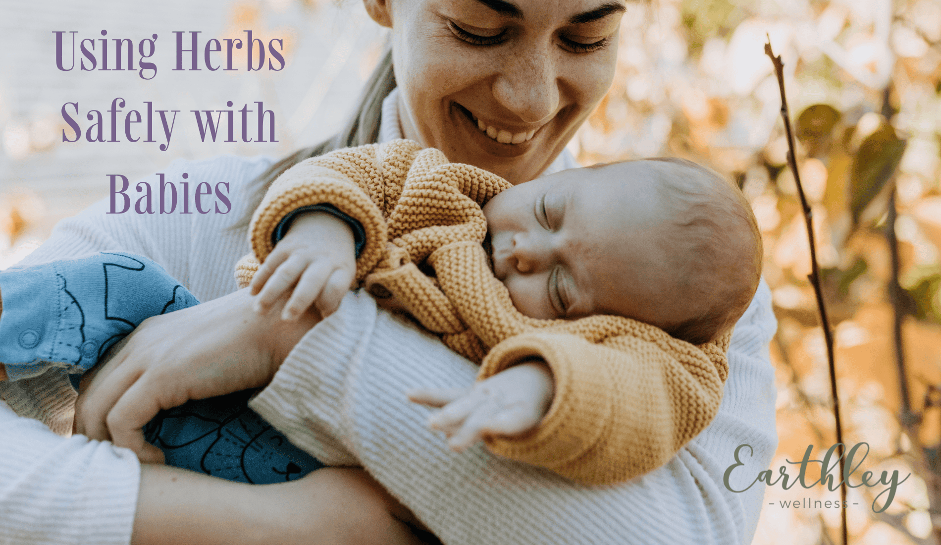 Using Herbs Safely with Babies blog header showing mother holding infant with herbal plants and amber tincture bottles in soft focus background