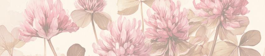 Delicate pink and beige botanical pattern featuring clover flowers and leaves on cream background