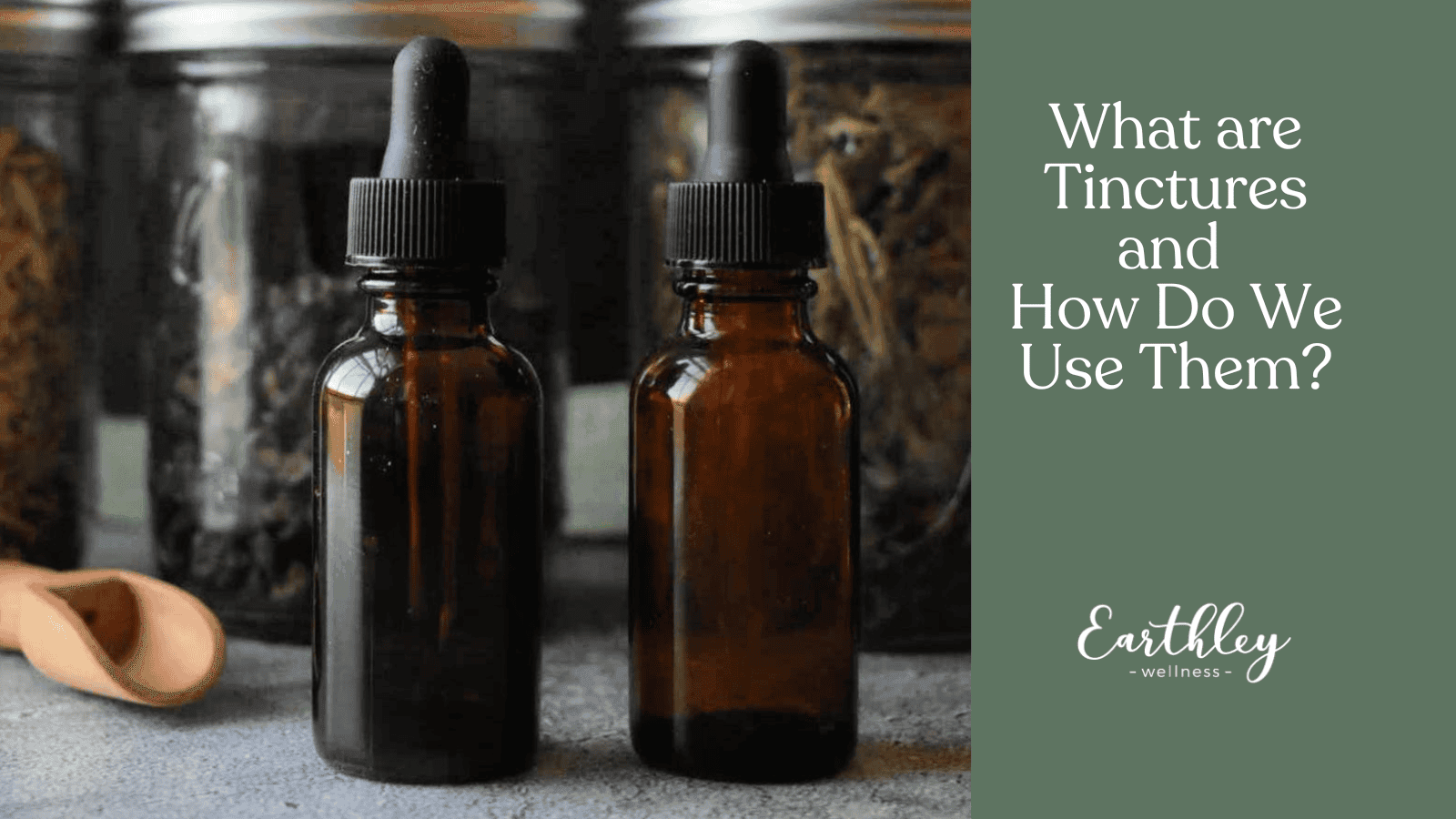 What are Tinctures educational header showing dark amber glass dropper bottles with black caps in front of mason jars filled with dried herbs on gray background