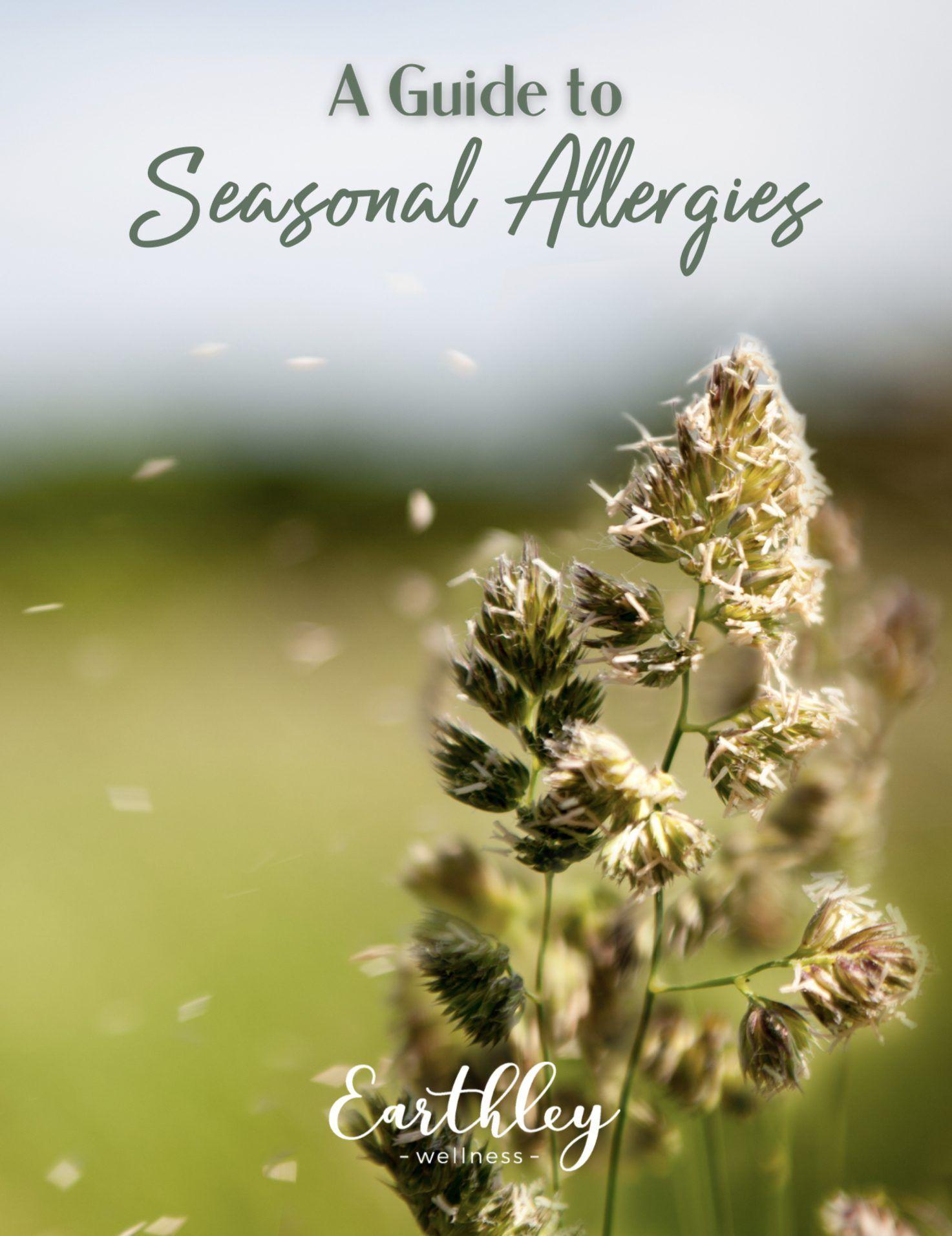 a guide-to-seasonal-allergies-240154
