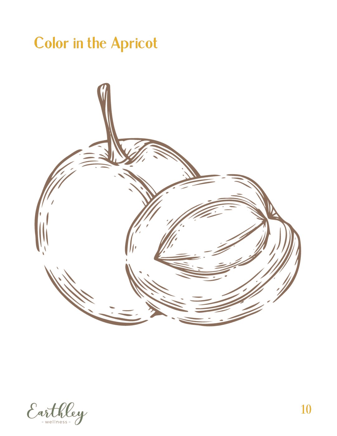 apricot oil-mini-guide-1187172