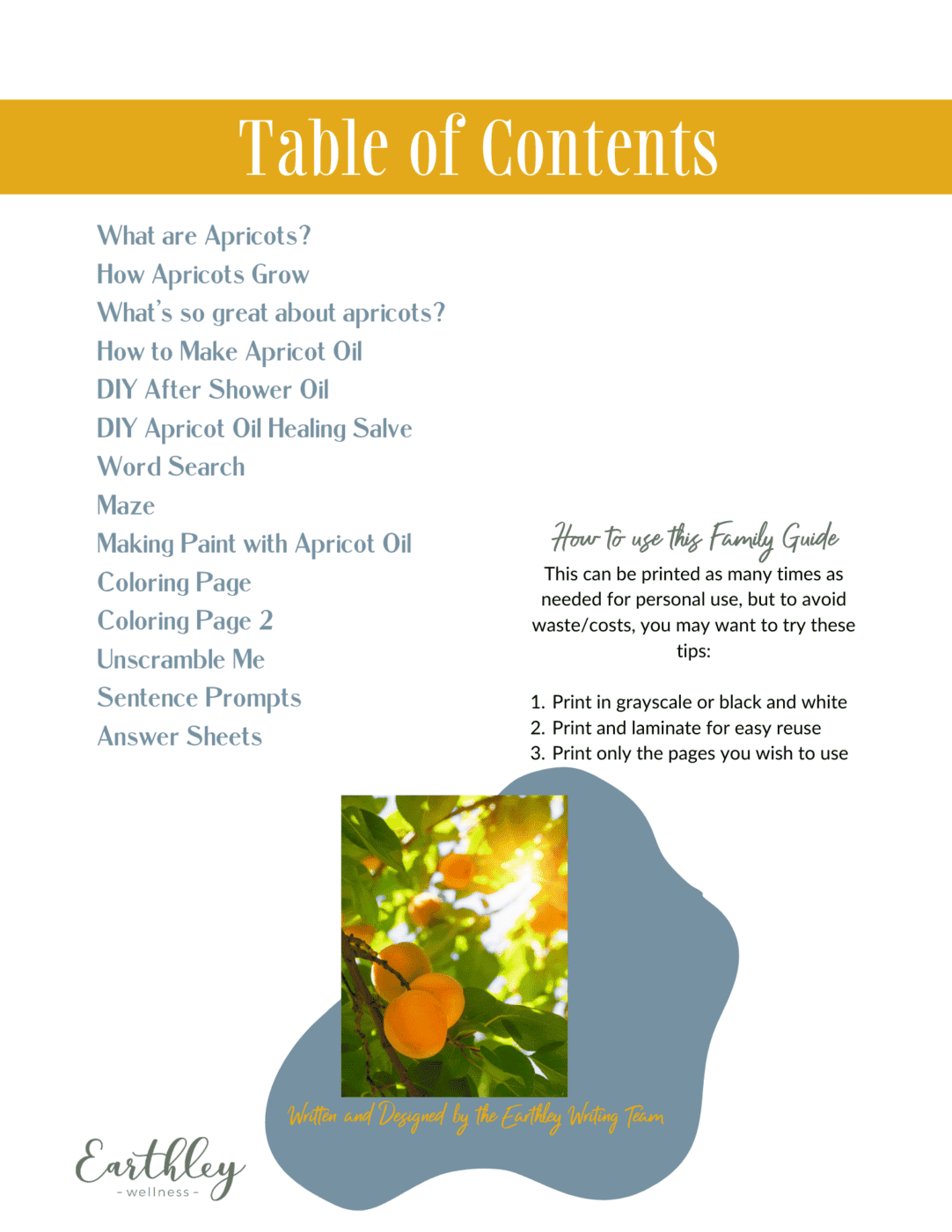 apricot oil-mini-guide-1187172