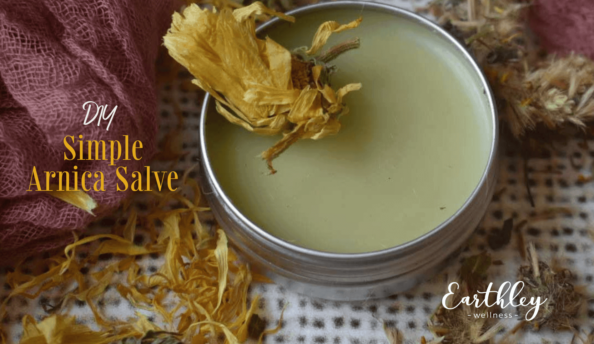 Earthley Arnica Salve 2oz black tin with yellow sunflower label for muscle soreness bruise relief and pain support