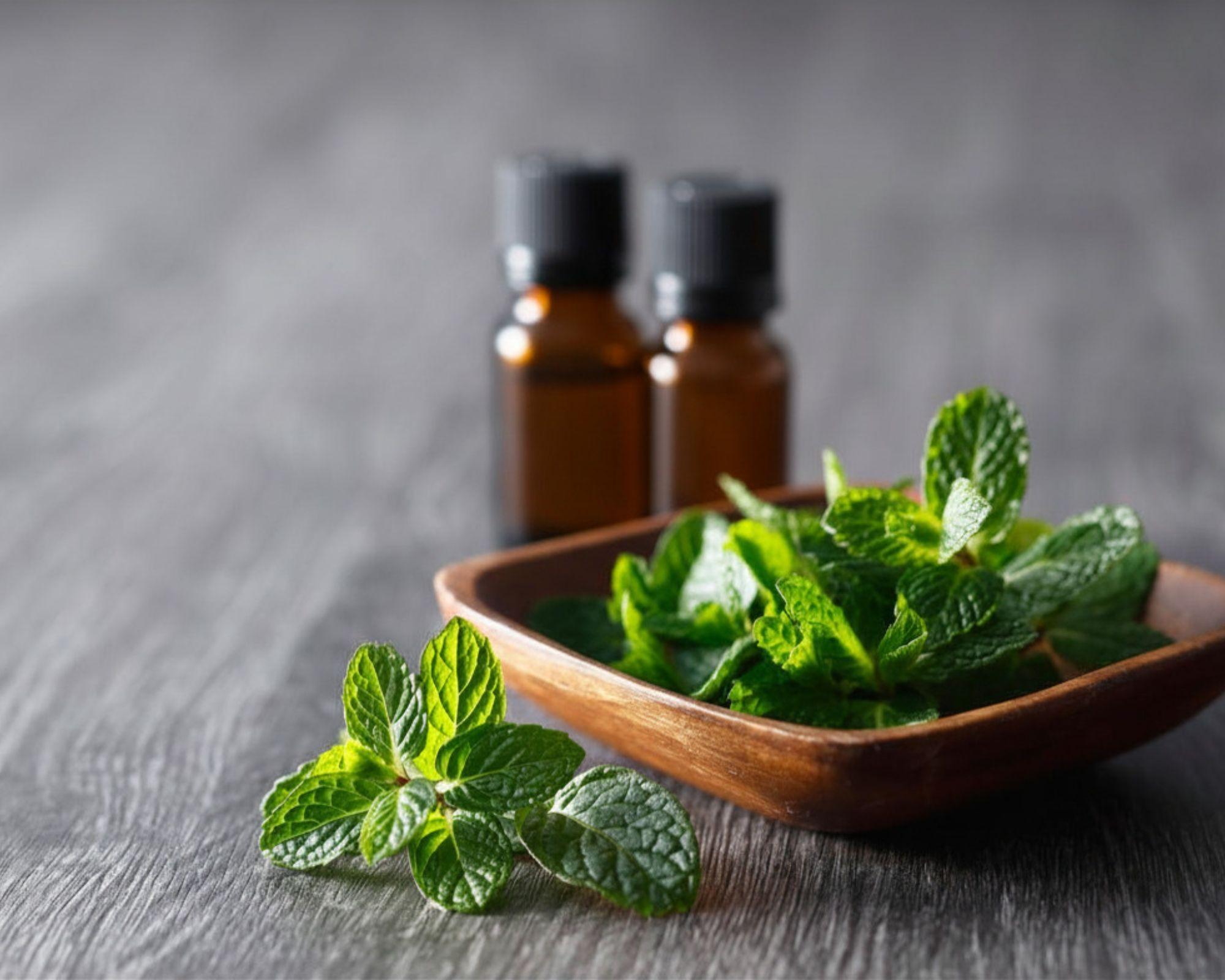 Fresh mint leaves in wooden bowl with amber essential oil bottles on rustic wood surface